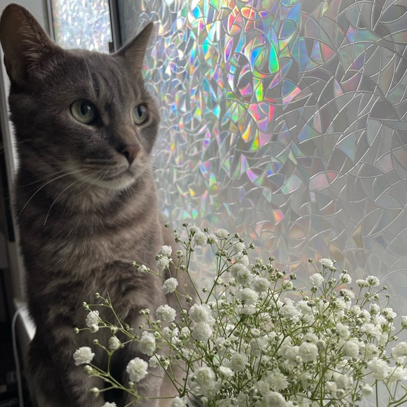 ▪️ I N F O ▪️ - Picture 3 of 4